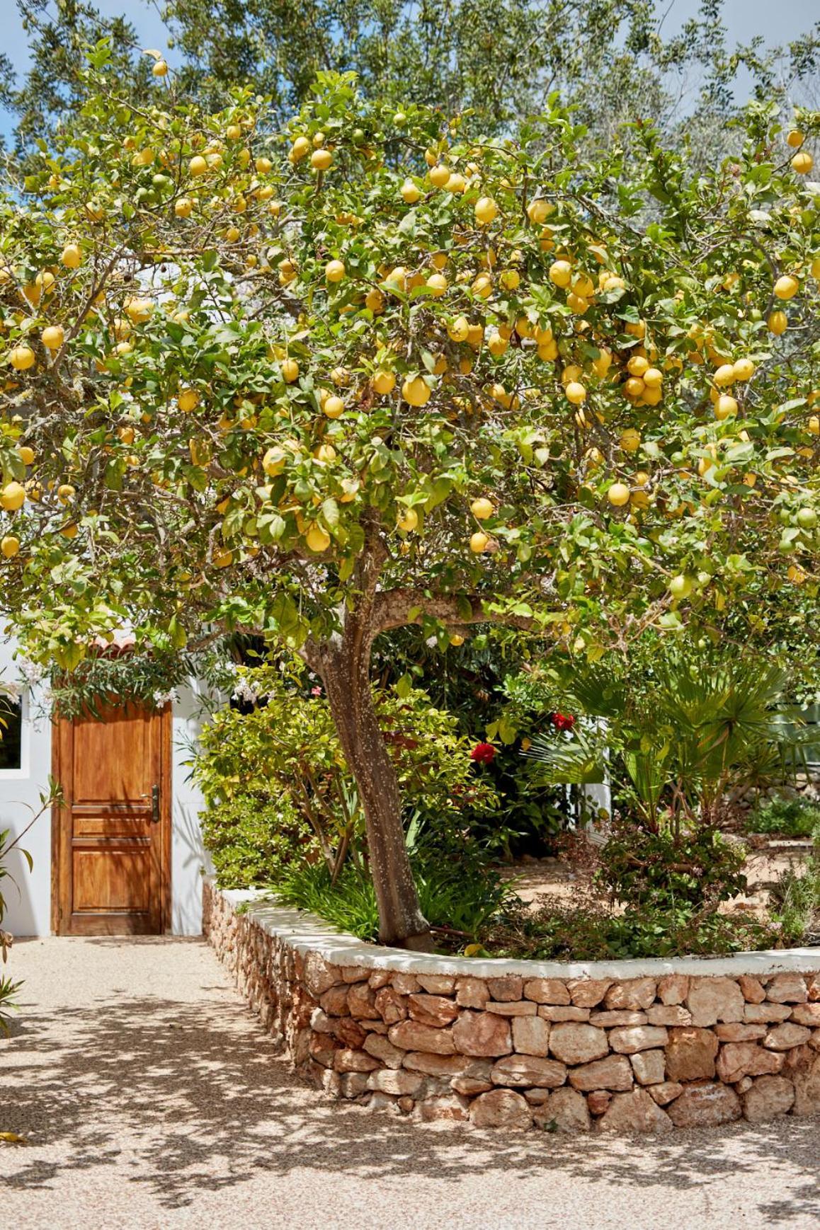 Agroturismo Ca Sa Vilda Marge Sant Joan De Labritja Exterior foto